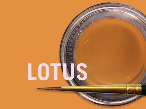 MiYO Translucent 4 gram Lotus Fluor*