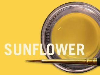 MiYO Translucent 4 gram Sunflower Fluor