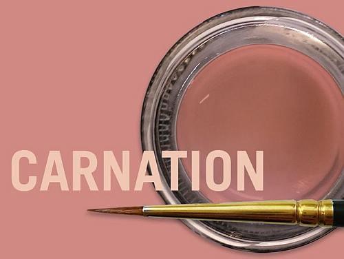 MiYO Gingiva Translucent 4 gram Carnation*