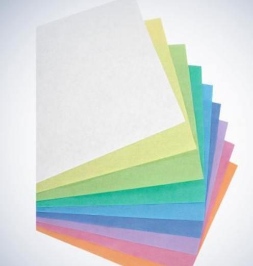 Bakkeserviet 28x18 cm 10x250 stk Hvid