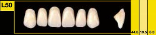 Bioplus fortand 6 stk farve 40 L50