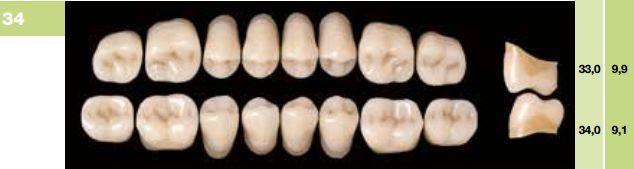 Artiplus kindtand 8 stk farve 13 U34