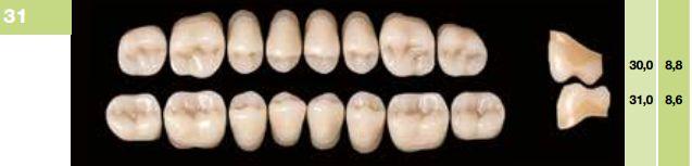 Artiplus kindtand 8 stk farve 15 O31