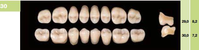 Artiplus kindtand 8 stk farve 22 O30