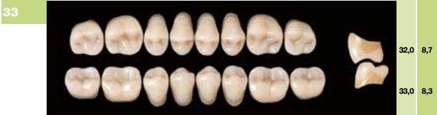 Artiplus kindtand 8 stk farve 25 U33