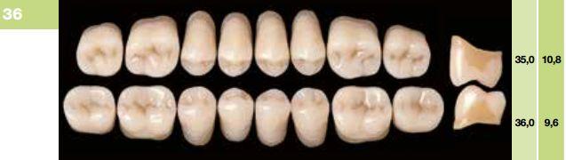 Artiplus kindtand 8 stk farve 26 O36