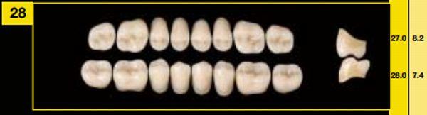 Artiplus vita kindtand 8 stk farve A2 U28*