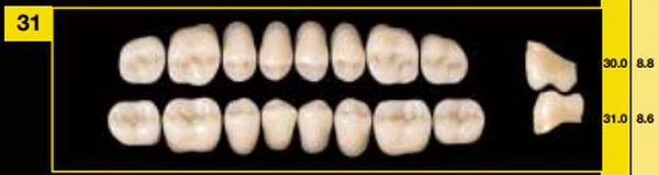 Artiplus vita kindtand 8 stk farve A4 U31