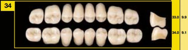 Artiplus vita kindtand 8 stk farve C2 O34