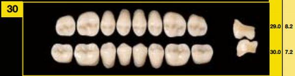 Artiplus vita kindtand 8 stk farve D2 U30*