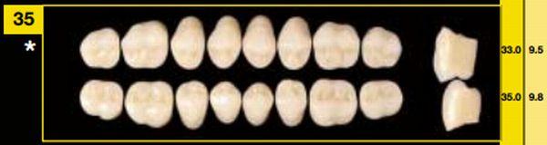 Biostabil kindtand 8 stk 31 str U35