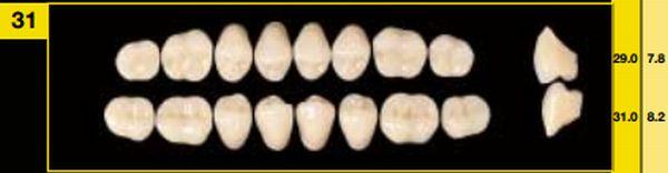 Biostabil kindtand 8 stk 39 str O31