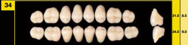 Biostabil vita kindtand 8 stk farve B3 O34*