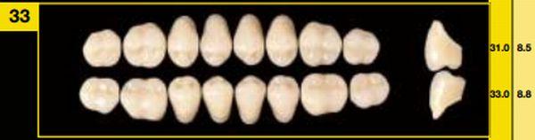 Biostabil vita kindtand 8 stk farve D2 U33