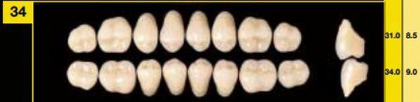 Biostabil vita kindtand 8 stk farve B1 O34*