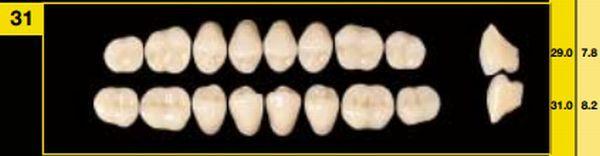 Biostabil vita kindtand 8 stk farve C1 O31*