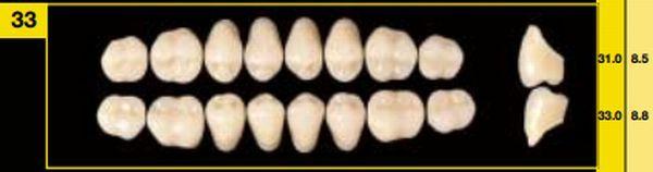 Biostabil vita kindtand 8 stk farve C1 O33*