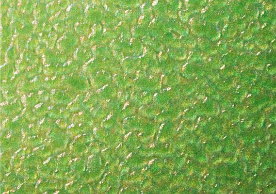 S-U Flexible Voksplader grained 15 stk 0.40 mm*