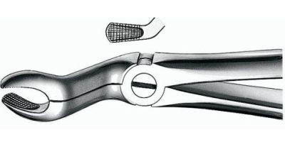 Extraktions tang OK molar 67A*