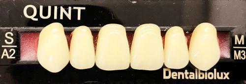 Quint fortand 6 stk Lo farve A2 AL5