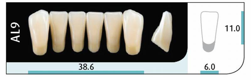 Quint fortand 6 stk Lo farve A1 AL9*