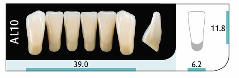 Quint fortand 6 stk Lo farve A1 AL10*
