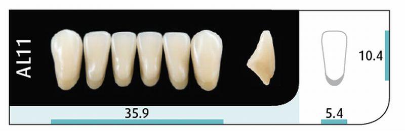Quint fortand 6 stk Lo farve A1 AL11*