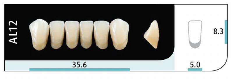 Quint fortand 6 stk Lo farve A1 AL12*