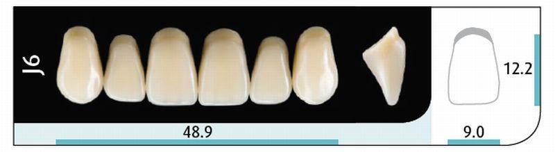 Quint fortand 6 stk up farve A1 J6*