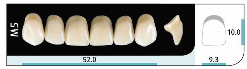 Quint fortand 6 stk up farve A1 M5*