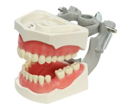 Articulator AM-860*