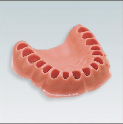 Tandkødsmodel AG-3 WOK*