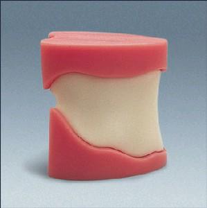 Model tandløs over og under u/underskræring*