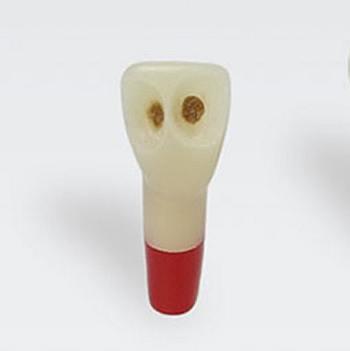 Modeltand AG-3 ZSDPK 300 V1 OK 21 med caries NY*