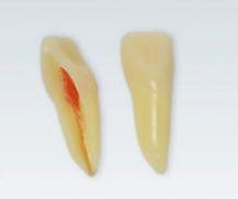 Modeltand ANA-4 Z3RN 100 stk nr. 11*