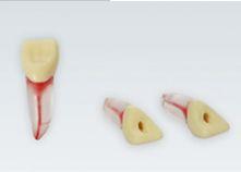 Modeltand ANA-4 ZPUKN 100 stk nr. 11*