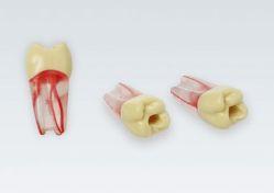 Modeltand ANA-4 ZPUKN 100 stk nr. 16*