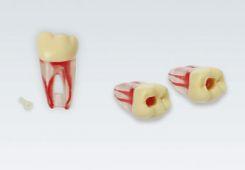 Modeltand ANA-4 ZPUKN 100 stk nr. 36*