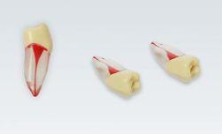 Modeltand ANA-4 ZPUKN 100 stk nr. 45*