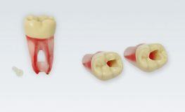 Modeltand ANA-4 ZPUKN 100 stk nr. 46*