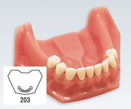 Partiel model UK 4.3.2.1-/-1.2.3.4*