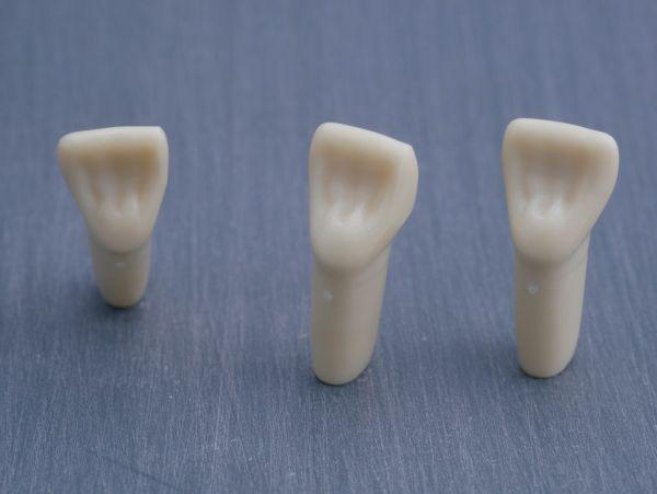 Modeltand præpareret AG-3 ZP 11 99-001*