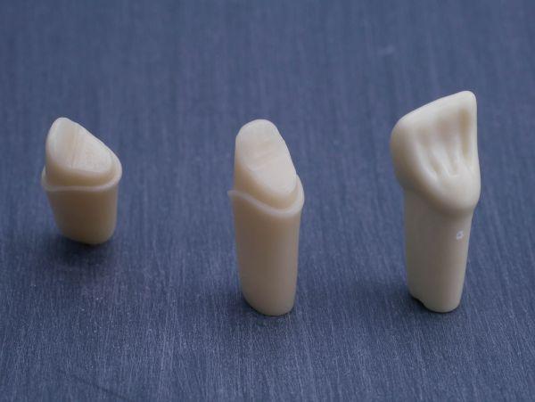 Modeltand præpareret AG-3 ZP 11 99-004*