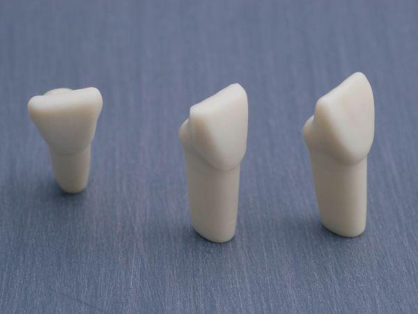 Modeltand præpareret AG-3 ZP 11 99-006*