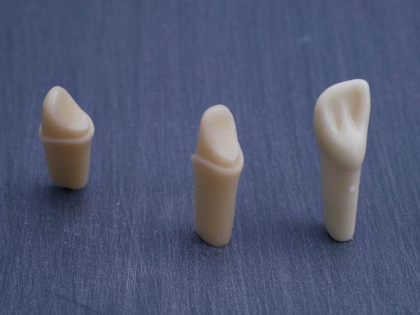 Modeltand præpareret AG-3 ZP 12 99-001*