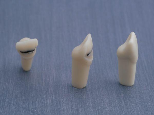 Modeltand præpareret AG-3 ZP 12 99-002*