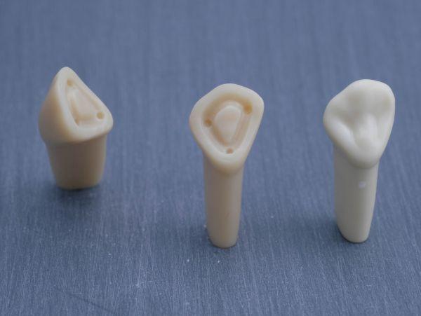 Modeltand præpareret AG-3 ZP 13 99-002*