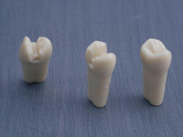 Modeltand præpareret AG-3 ZP 14 99-001*