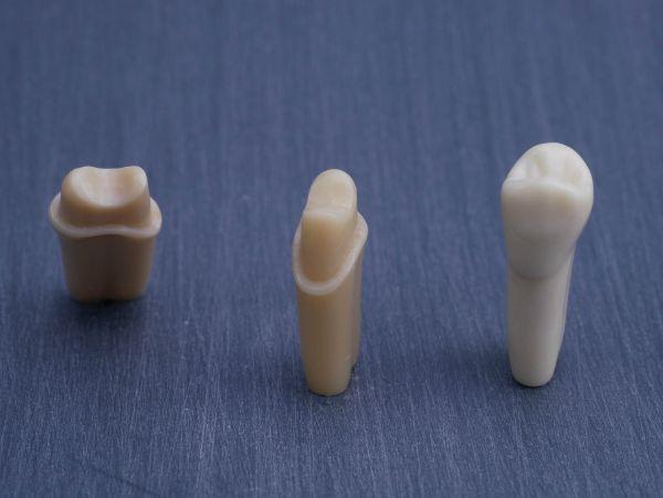 Modeltand præpareret AG-3 ZP 15 99-002*