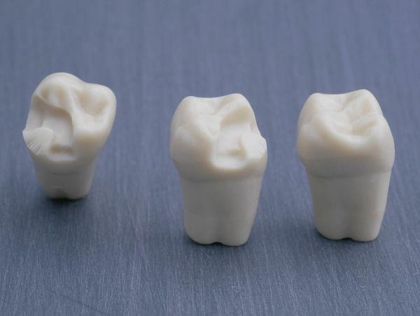 Modeltand præpareret AG-3 ZP 16 99-001*